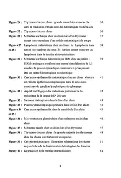 Physiopathogenie des metastases