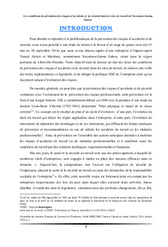 Enquete et mesures de prevention des risques d'accidents et securite