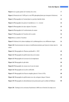 Effet des produits nitreux sur la flore microbienne ruminale