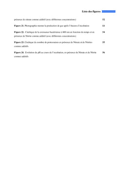 Effet des produits nitreux sur la flore microbienne ruminale