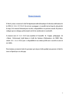 Audit des systèmes d'information: mise en oeuvre de l'approche Cobit4.1
