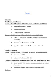 Audit des systèmes d'information: mise en oeuvre de l'approche Cobit4.1
