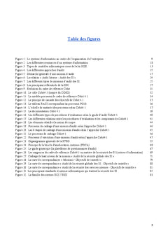 Audit des systèmes d'information: mise en oeuvre de l'approche Cobit4.1