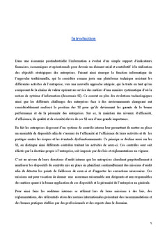 Audit des systèmes d'information: mise en oeuvre de l'approche Cobit4.1