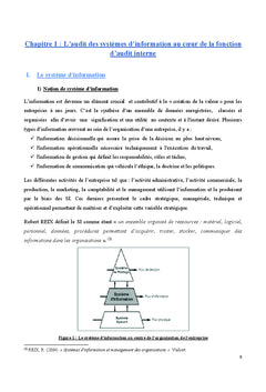 Audit des systèmes d'information: mise en oeuvre de l'approche Cobit4.1