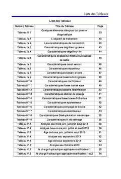 Etudes des Dysfonctionnements d'une station d'epuration des eaux usees