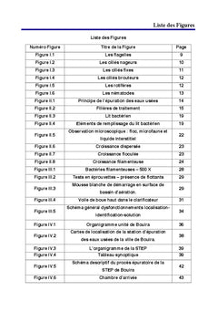 Etudes des Dysfonctionnements d'une station d'epuration des eaux usees