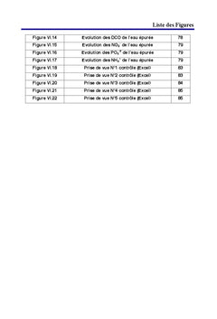 Etudes des Dysfonctionnements d'une station d'epuration des eaux usees