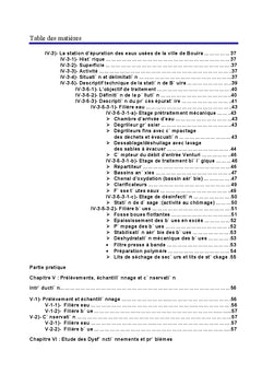 Etudes des Dysfonctionnements d'une station d'epuration des eaux usees