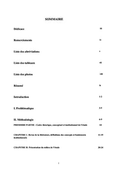 Planication et Gestion du Developpement Local au Mali