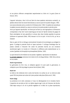 Secteur céréalier en Tunisie : défis vis à vis des ressources en eau