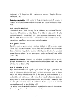 Secteur céréalier en Tunisie : défis vis à vis des ressources en eau