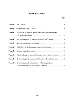 Elevage des crevettes au Cameroun (activités de suivi et de recherche)