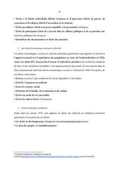 De la contribution des institutions nationales des droits de l'homme