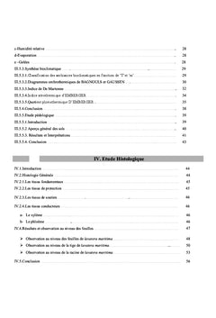 Etude histologique de Lavatera maritima dans le nord ouest d'Algérie