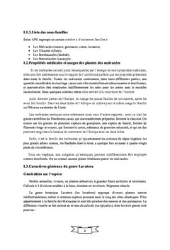 Etude histologique de Lavatera maritima dans le nord ouest d'Algérie