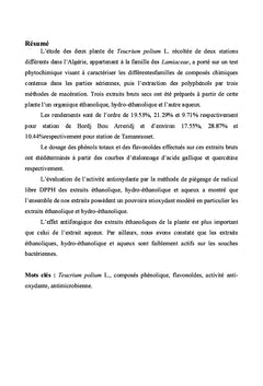 Évaluation in vitro des activités biologiques de Teucrium polium L.