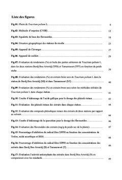Évaluation in vitro des activités biologiques de Teucrium polium L.
