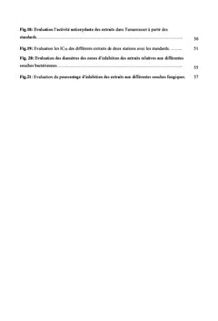 Évaluation in vitro des activités biologiques de Teucrium polium L.