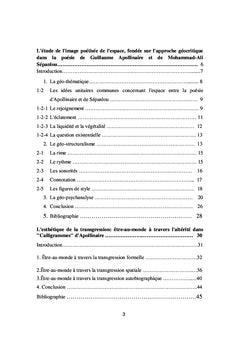 Moi et non-moi : littérature comparée pratique (Recueil d'articles)