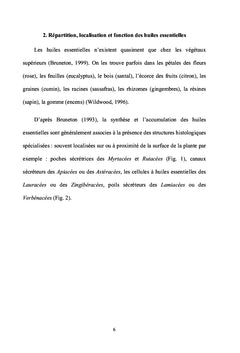 Les huiles essentielles: Compositions, propriétés et extractions