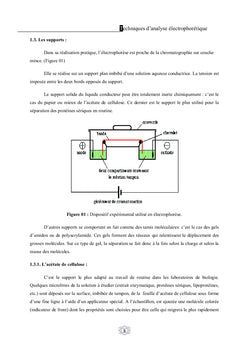 Techniques d'analyse électrophorètique