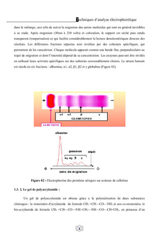 Techniques d'analyse électrophorètique
