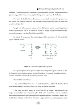 Techniques d'analyse électrophorètique