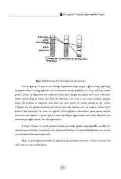 Techniques d'analyse électrophorètique