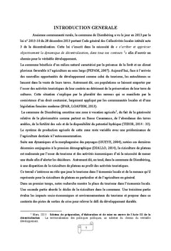 Deux activités à défis opposés dans la commune de Diembéring