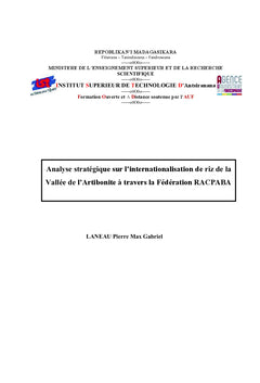 Analyse stratégique sur l'Internationalisation du riz d'Haiti