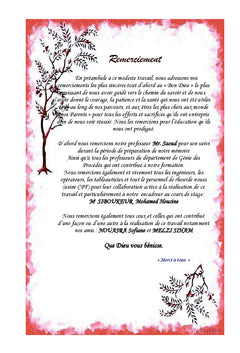 Etude de performance des secheurs de l'unite de deshydratation