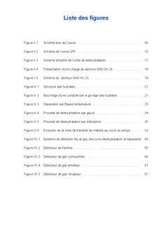 Etude de performance des secheurs de l'unite de deshydratation