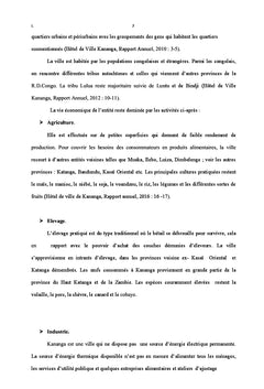 Entrepreneuriat et la promotion de l'artisanat familial à Kananga