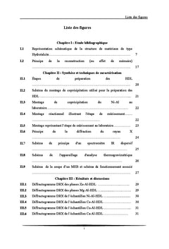 Etude des catalyseurs bimétalliques type hydrotalcite