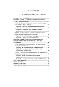 La responsabilité de l'administration publique au Mexique
