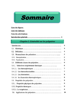 Etude de procede de conversion de dechets plastiques en carbuants