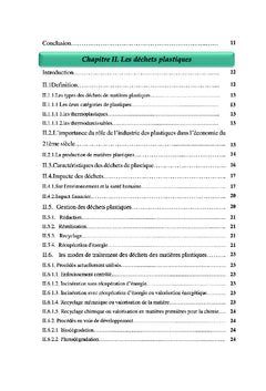 Etude de procede de conversion de dechets plastiques en carbuants