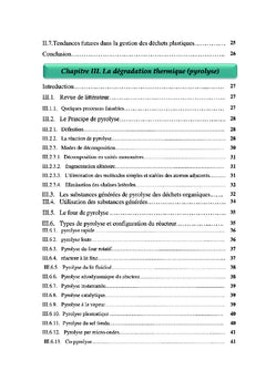 Etude de procede de conversion de dechets plastiques en carbuants