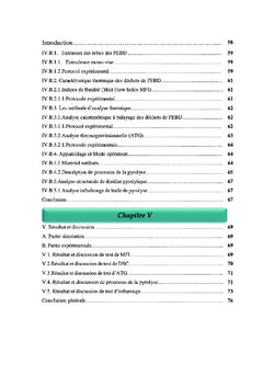 Etude de procede de conversion de dechets plastiques en carbuants