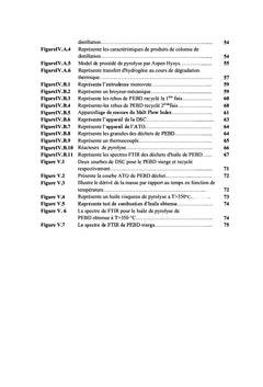 Etude de procede de conversion de dechets plastiques en carbuants