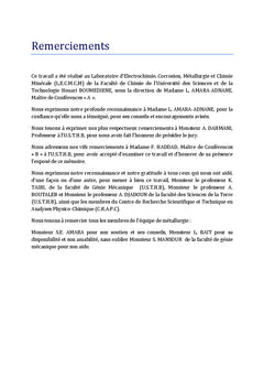 Etude d'alliages ternaires FeAlC