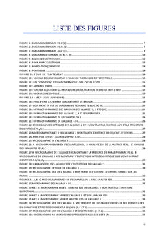 Etude d'alliages ternaires FeAlC