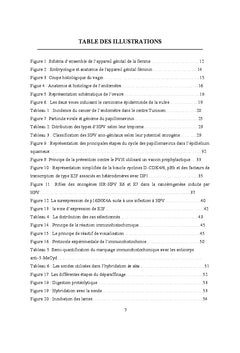 Les cancers du tractus génital féminin : détection de HPV et p16ink4a