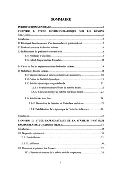 Etude des performances et de la stabilité d'un mini bassin solaire