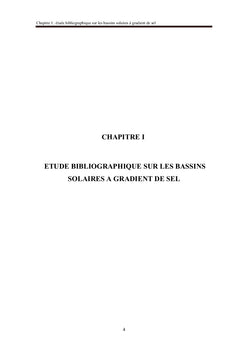 Etude des performances et de la stabilité d'un mini bassin solaire