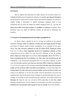 Etude des performances et de la stabilité d'un mini bassin solaire