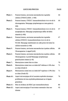 Apports de la biologie moleculaire en oncologie humaine et canine
