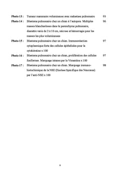 Apports de la biologie moleculaire en oncologie humaine et canine