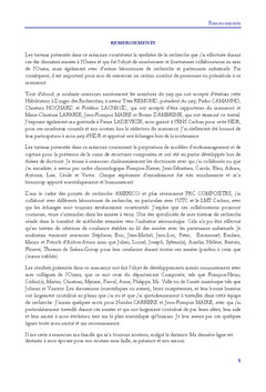 Transfert vers l'industrie de modeles avances pour les composites